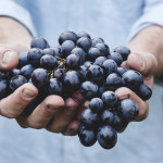 grapes in hands